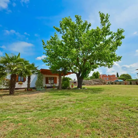 Dom wakacyjny Ledi By Interhome